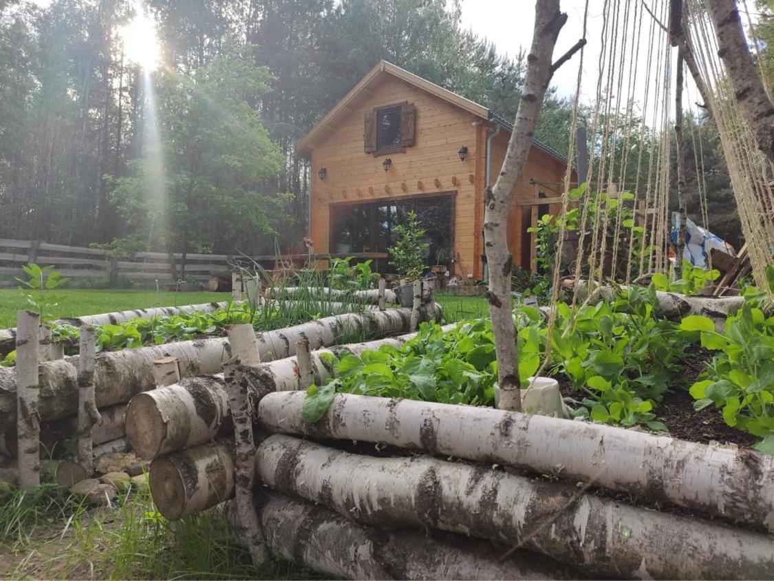 Villa Przystan Zakapiora Muchocin Exterior foto